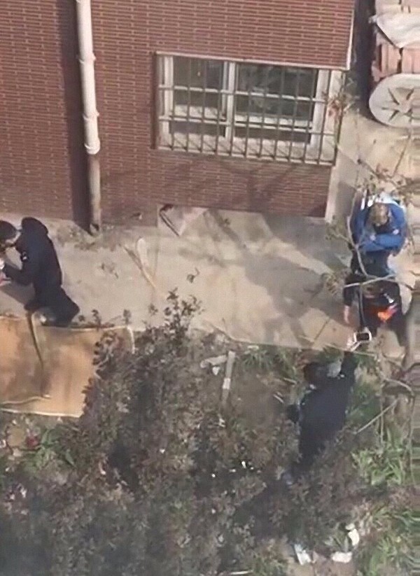 石家庄一女子和女童居民区坠亡 警方:系母女 石家庄一女子和女童居民区坠亡 警方:系母女