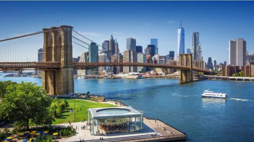 纽约人口市_人口普查(2)