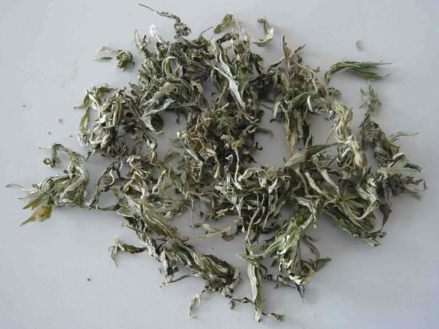 这样泡脚,祛湿效果翻倍,几天后体内湿气都排出