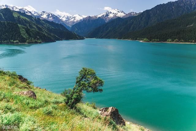 風景名勝區按照景點的佈局及結構分為天池景區,燈杆山景區,馬牙山景區