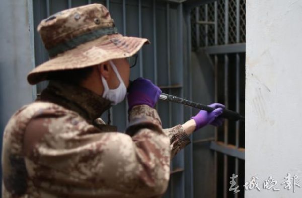 昆明动物园25岁藏马熊左脚做手术 注射4针麻药