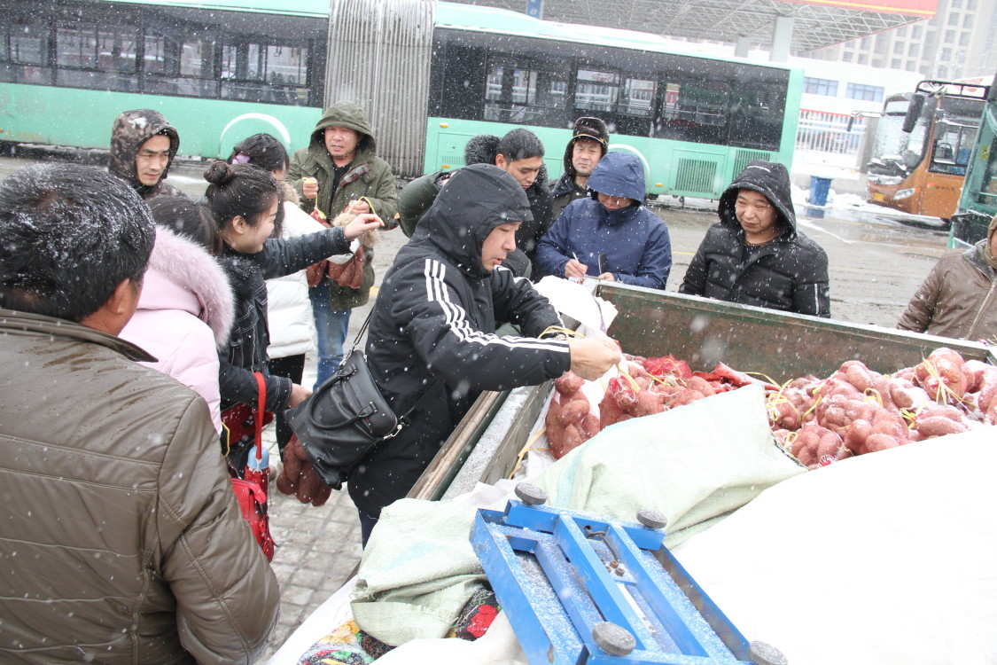 暖心！大雪纷飞 开封父子来郑卖红薯露宿街头 好心公交车长争相购买