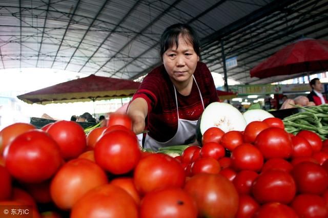 农业从业者:转基因食品到底有没有危害