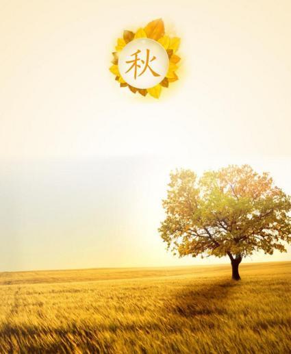 新材料龙头股,仙人指路指标出现,中报增890%