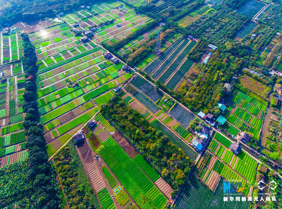 航拍广州农田美景 瞰绿化模范城市的新风貌