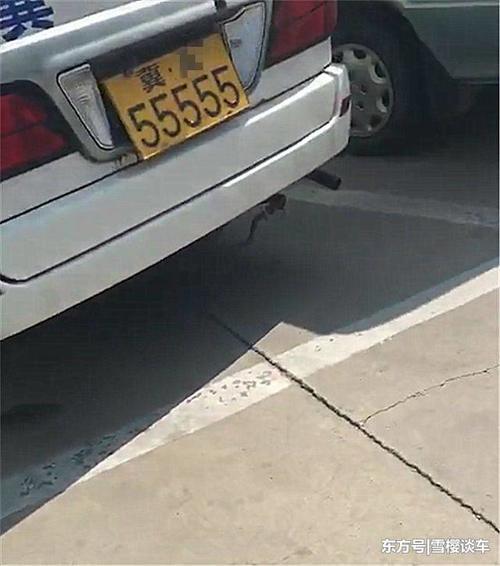 河北偶遇一排金杯海狮面包车,本不会注意,但车