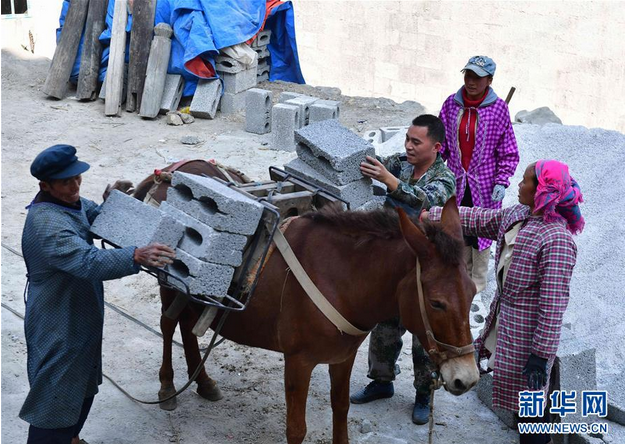 3月14日,在广西隆林各族自治县蛇场乡新寨村,贫困户杨志田(左一)在搬运建筑材料,改造危旧房。房屋改造完成后,他家将得到相应的补助。记者从广西壮族自治区住房和城乡建设厅了解到,广西2017年将继续大力推进农村危房改造,计划完成10万户的开工任务,其中将以建档立卡贫困户、农村低保户为重点。2016年,广西将建档立卡贫困户危房改造补助标准提高到户均2.3万元,全年共为7万多户贫困户建档立卡,并为他们完成危房改造。新华社记者黄孝邦 摄