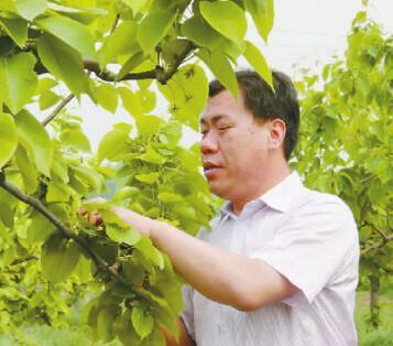 访北京市房山区窦店镇窦店村党委书记仉锁忠 访北京市房山区窦店镇窦店村党委书记仉锁忠