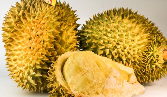 什么时候的榴莲 最好吃且价钱便宜?