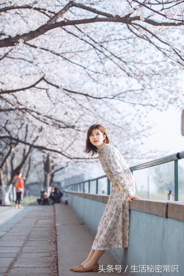 妹夫拿了岳父生日红包,竟不向我这姐夫开口借