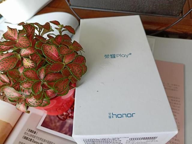 荣耀play打王者,帧数这么高!