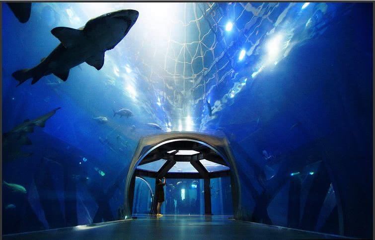 东北的支柱产业是直播?辽宁:我们这边旅游资