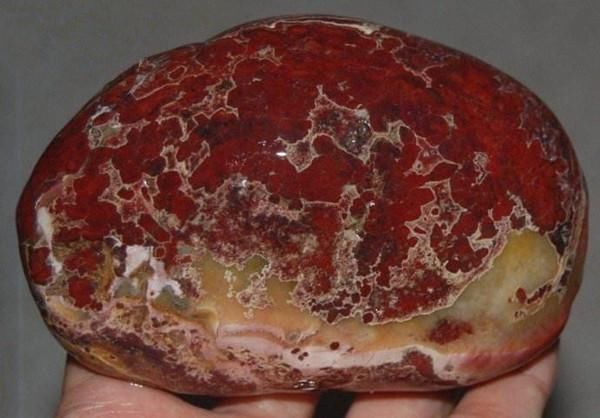 这块红梅奇石被人在乱石岗中发掘,色彩鲜艳,在全国非常少见