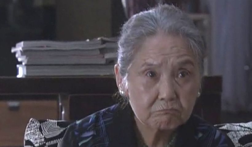 鲁园,年纪最大的飞天女主,奶奶专业户,如今9