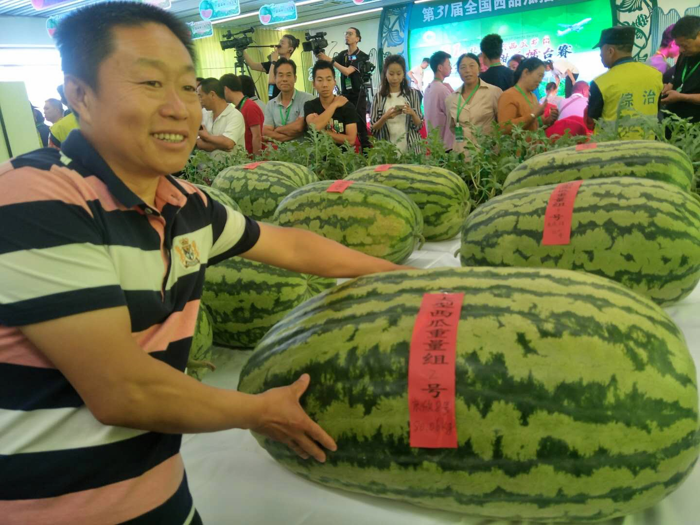 全国西瓜擂台赛"瓜王"重达80.06公斤