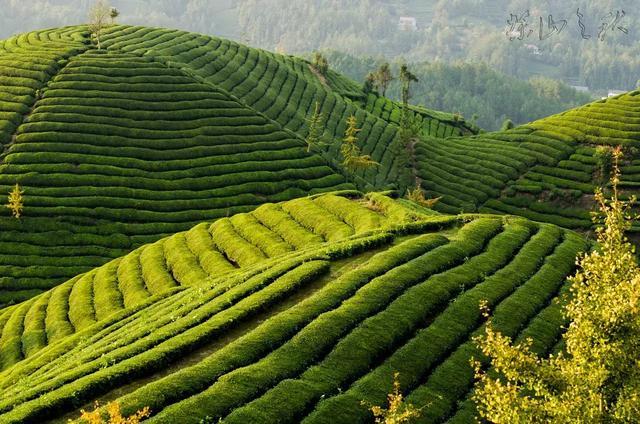 最新农村创业致富项目,十大暴利行业,农村创业