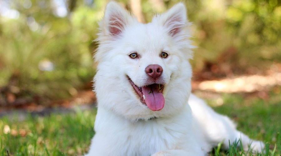 10个理由告诉你,达到身心健康的新方法--拥有一