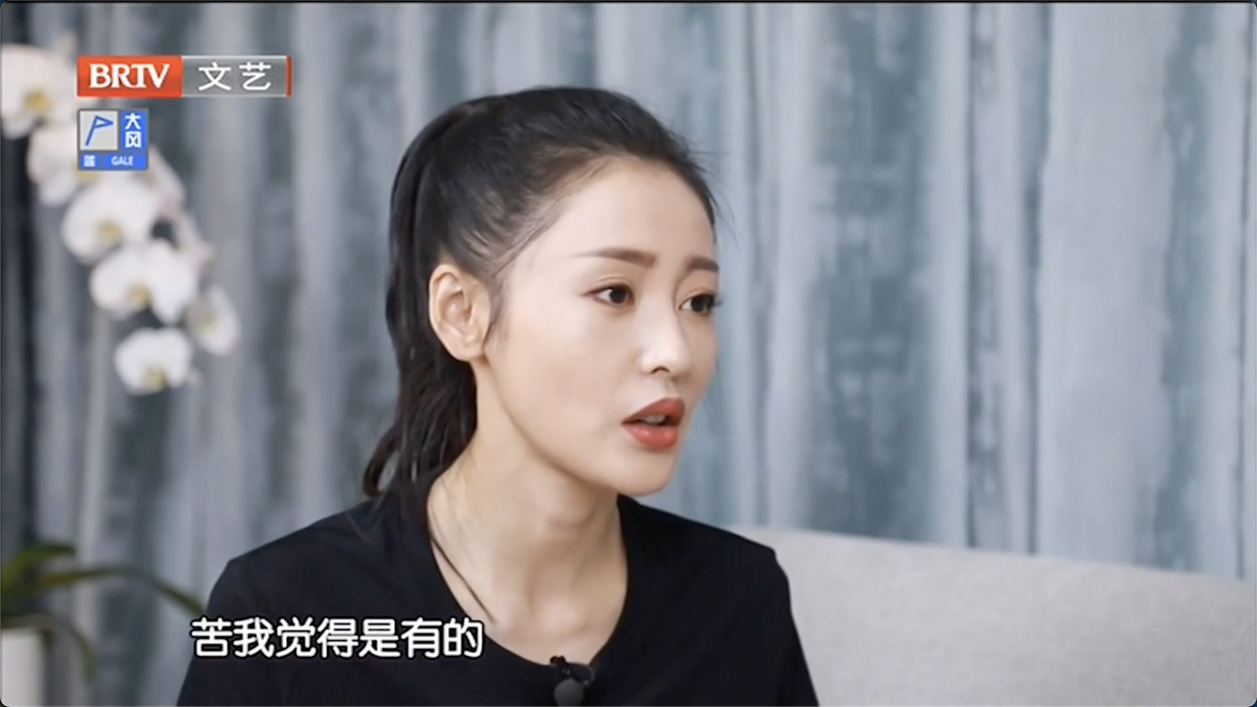 张天爱：我曾是“黄金甲”中的小宫女