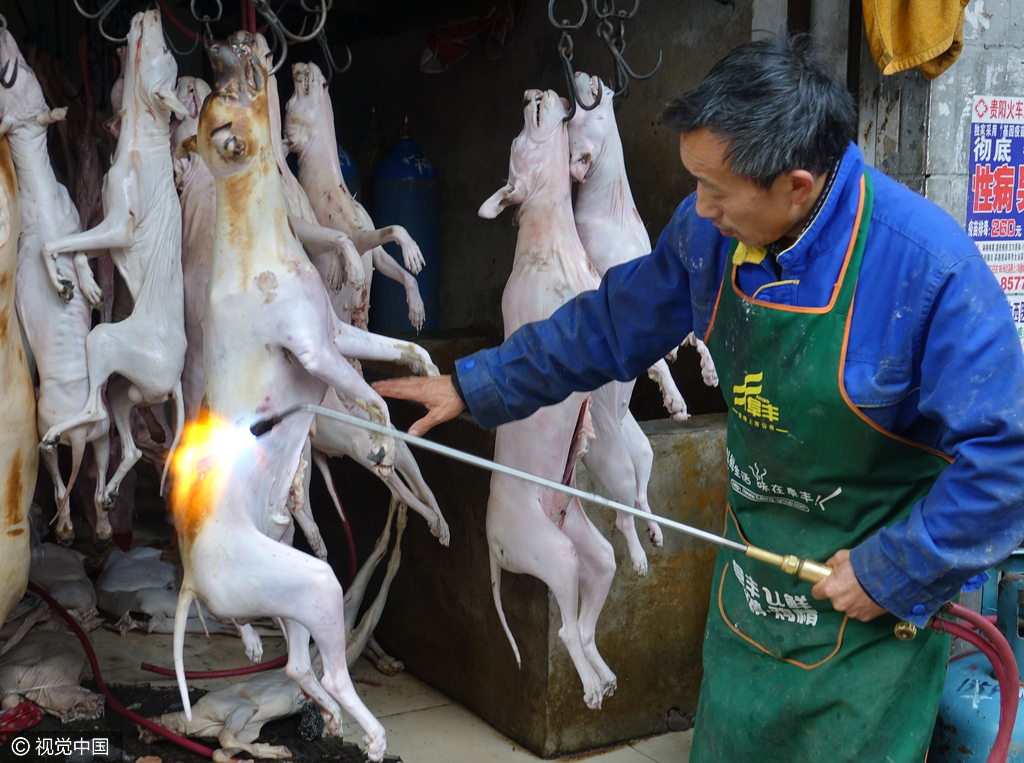 菜市场狗肉图片