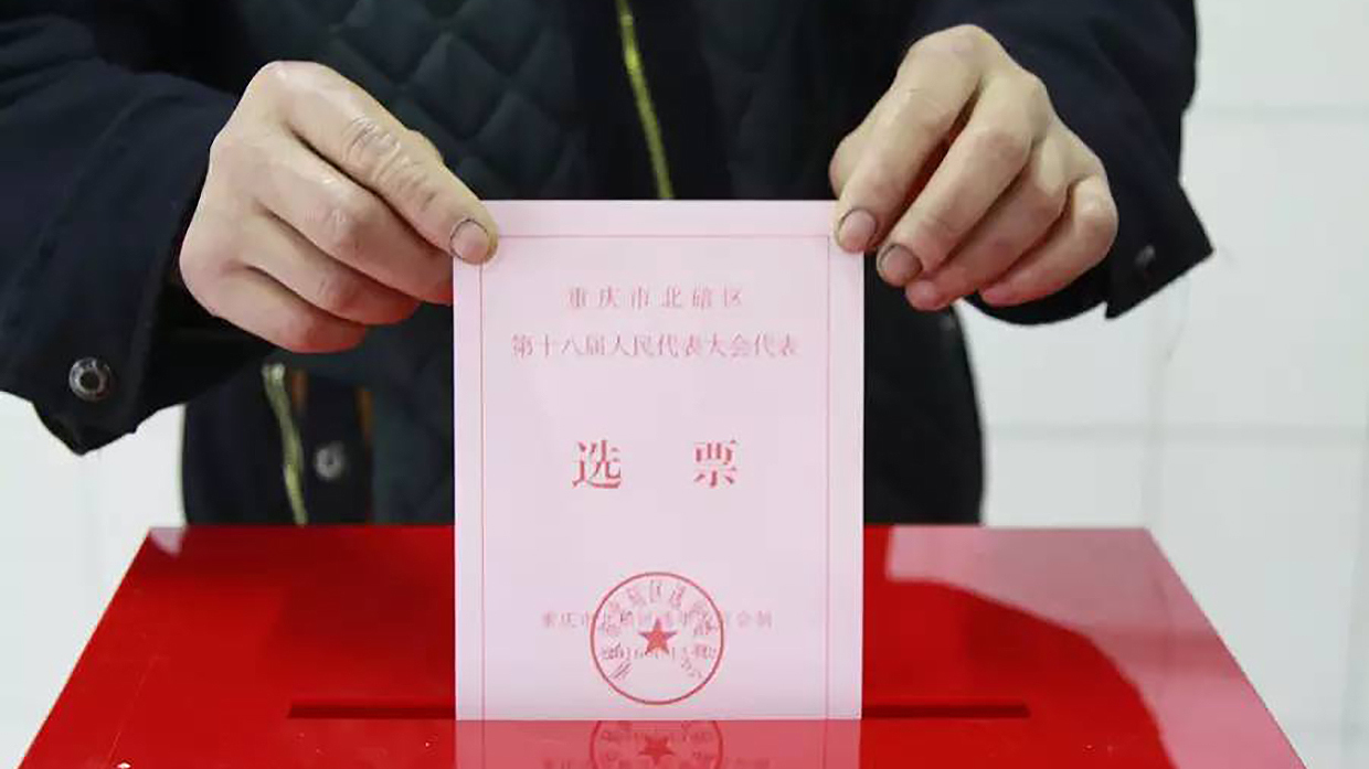 张天科：直接选举人大代表不发选民证不妥