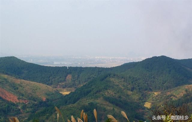 广西人口大县排名