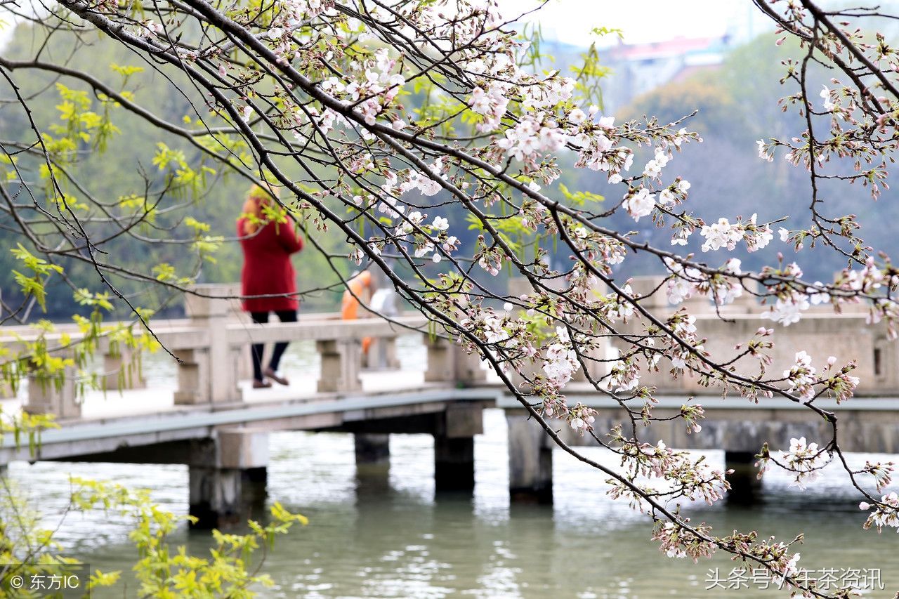 江苏南通,2018年第一季度南通市经济简报,南通