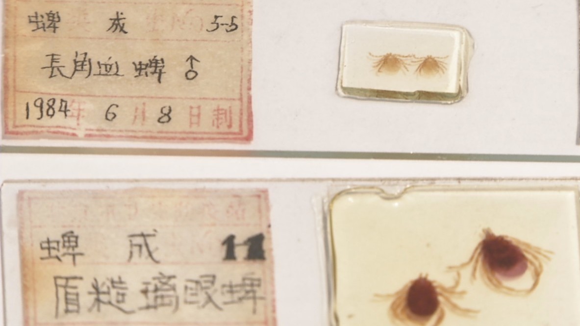 注意!近期外出游玩小心蜱虫叮咬 注意!近期外出游玩小心蜱虫叮咬