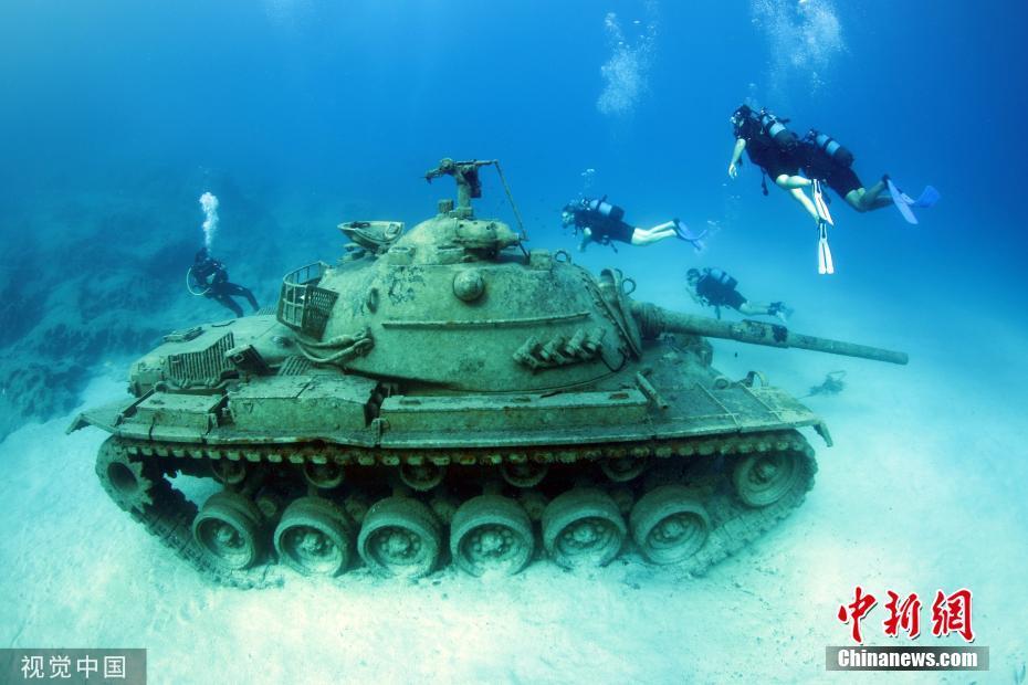报废坦克沉海底变“礁石” 成潜水者“打卡”圣地 报废坦克沉海底变“礁石” 成潜水者“打卡”圣地