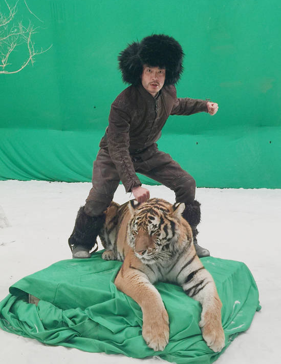 近日一组李光洁与真老虎拍摄的幕后花絮遭曝光,李光洁骑在老虎身上卖