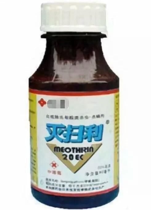 安康宁陕县:局长给局长投毒