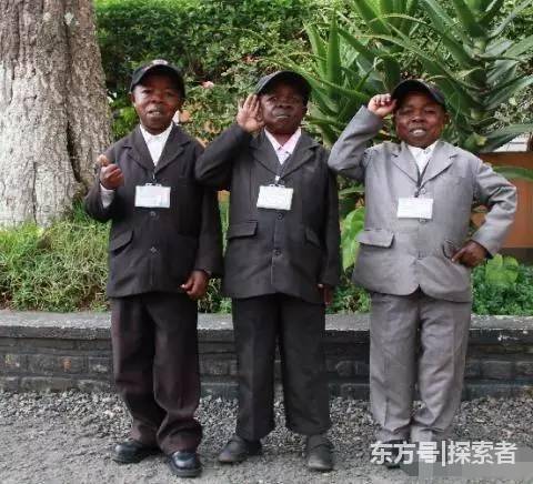 8岁发育成熟!探秘非洲即将濒临灭绝的“袖珍名族” 8岁发育成熟!探秘非洲即将濒临灭绝的“袖珍名族”