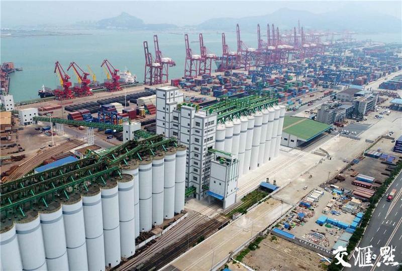 连云港庙岭散粮筒仓改扩建项目试投产 新增吞吐能力250万吨 连云港庙岭散粮筒仓改扩建项目试投产 新增吞吐能力250万吨