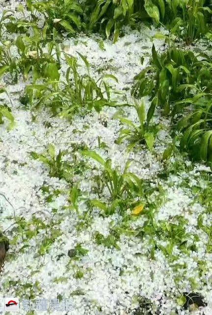 新疆白碱滩电闪雷鸣、大雨冰雹，一变压器被雷击中起火