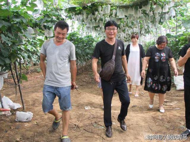 惠绿源有机葡萄采摘园开园迎客