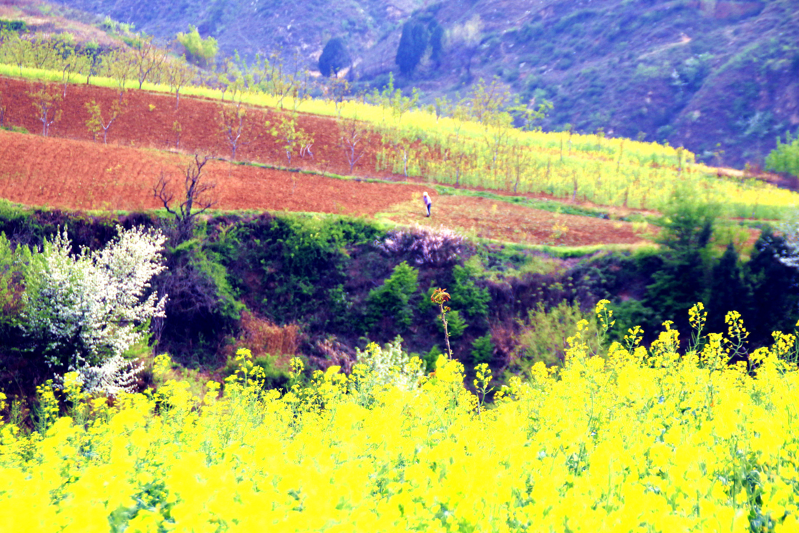 西安蓝田国际旅游文化节启动多名网络达人被聘