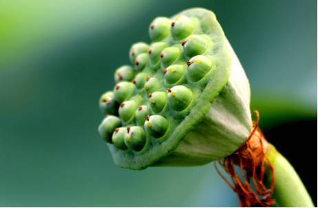 丽水人快来看 这才是真正的“白富美”! 丽水人快来看 这才是真正的“白富美”!