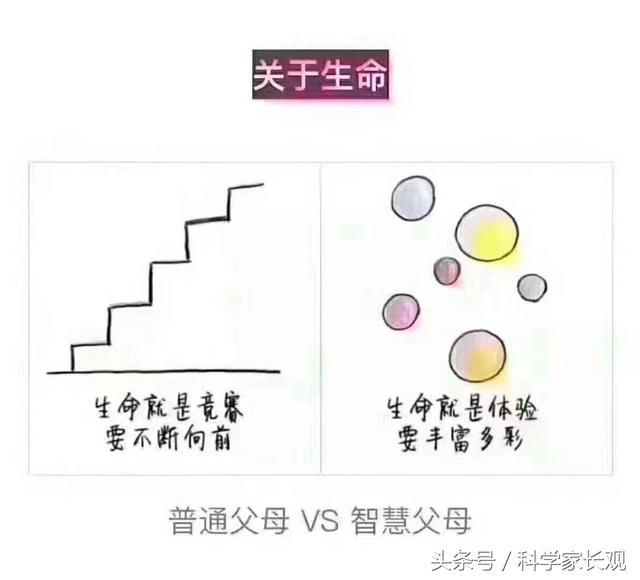 2017年12月06日 - ddmxbk - 木香关注家庭教育 2017年12月06日 - ddmxbk - 木香关注家庭教育