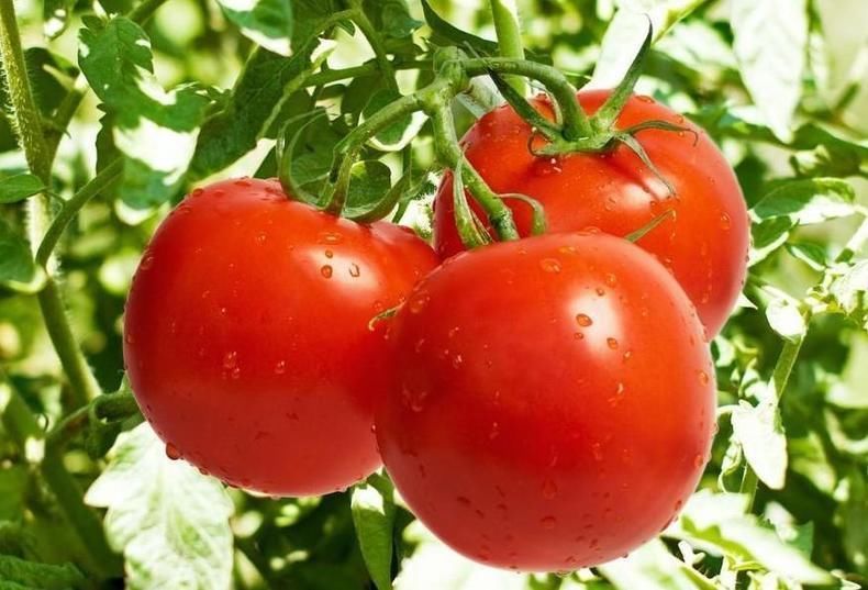 女生经常吃这几种水果,肌肤比较容易变白