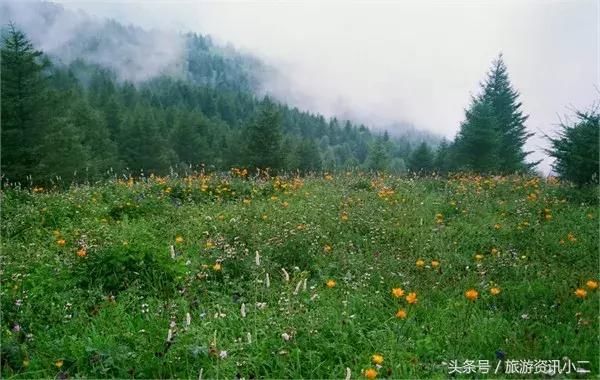 河北这几处森林公园告诉你什么叫自带