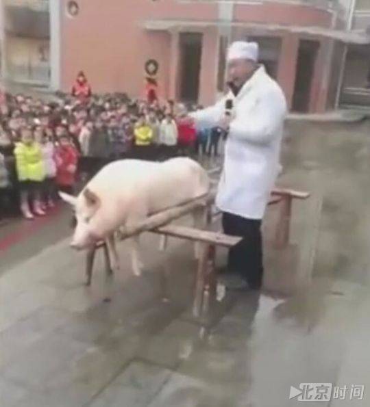 幼儿园让孩子围观杀年猪被指血腥 园长:当地风俗