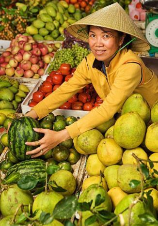 越南乡镇农场,水果成灾!