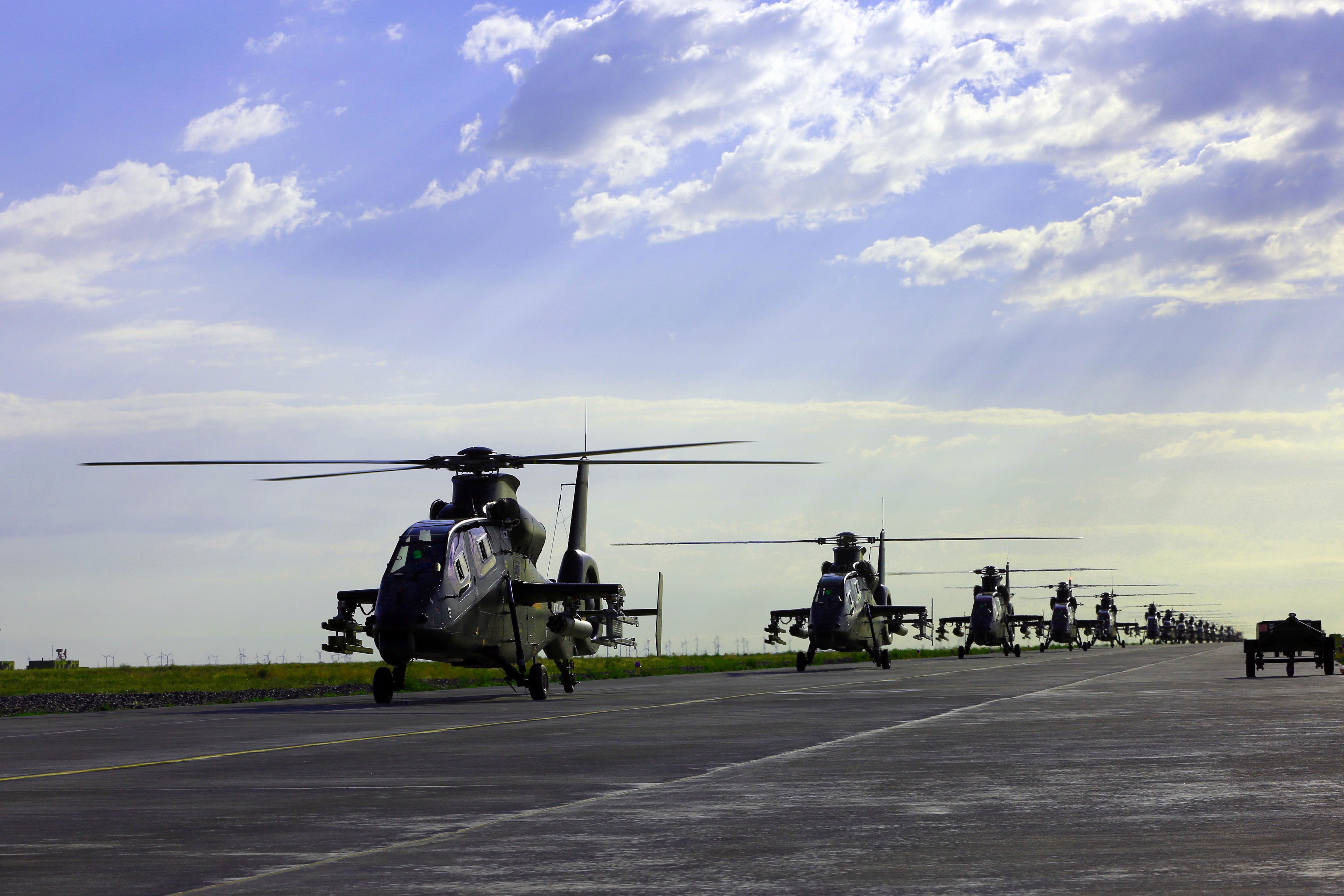 中国直19"大象漫步"阵容壮观