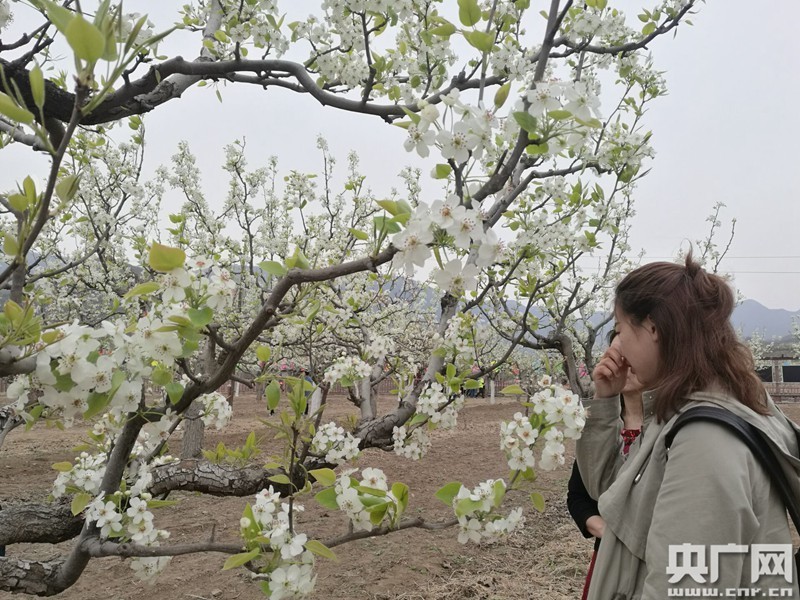 北京门头沟梨园站届女图片