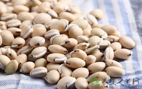 秋季吃什么食物去湿气