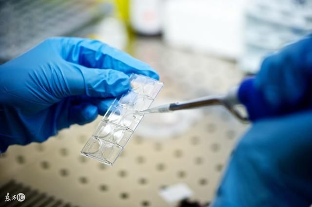 整个试管婴儿流程是怎么样的?