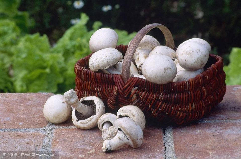 2018年适合农村乡镇小本创业项目,偏门大盘点