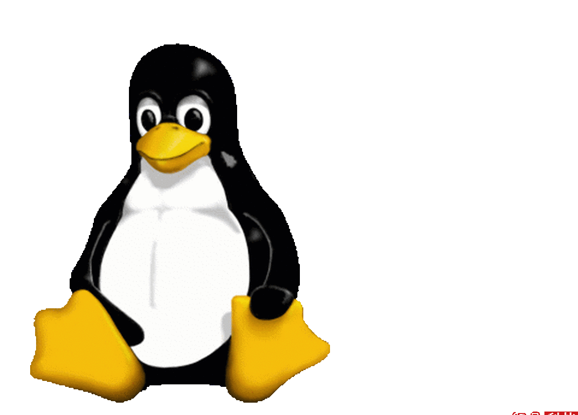 Linux 2.4发布
2001年，经过数次延迟后，Linux 2.4终于发布。在这个版本中，Linux开始与Solaris和其他高端服务器操作系统竞争。