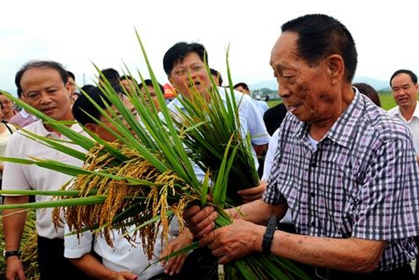 《追梦中国·影响力》第二集:袁隆平 稻田里的“守望者” 《追梦中国·影响力》第二集:袁隆平 稻田里的“守望者”