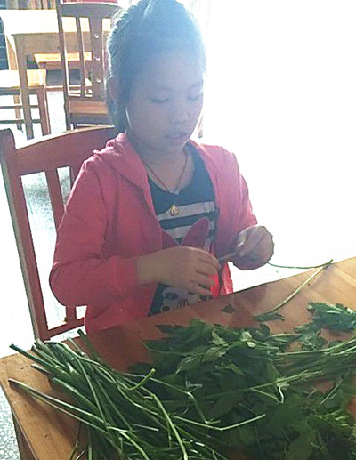 荷叶镇攸永完小开展 我为妈妈做件事感恩教育