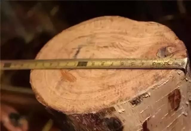 2018年环保改革对我国木材价格走势的影响